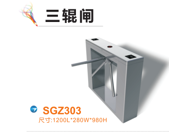 台州路桥区三辊闸四号